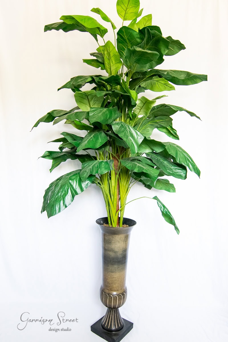 A tall, lush green potted plant with large leaves graces a chic, decorative bronze vase against a plain white background. The fluted design at the bottom adds elegance to this DIY arrangement in a large planter.