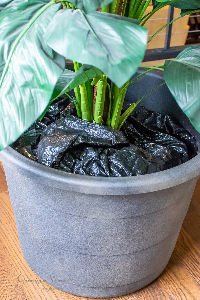 A large potted plant with broad green leaves sits in a sleek black planter. The pot is creatively filled with dark stones, adding a DIY touch to the decorative base of the vibrant plant.