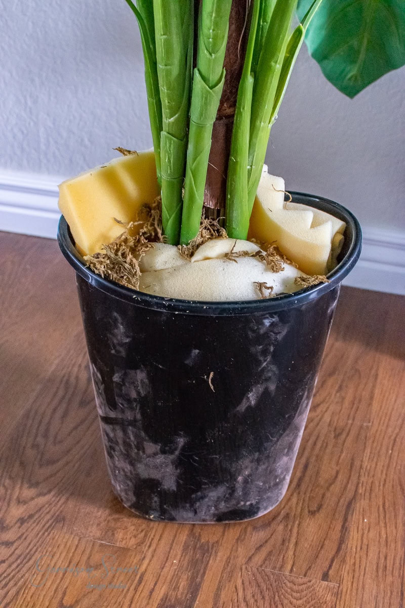 A large planter holds a potted plant with lush green stems, set in a sleek black container. DIY enthusiasts might appreciate the creative touch of yellow foam pieces mixed with dried moss that covers the soil, nestled on a wooden floor by a white baseboard.