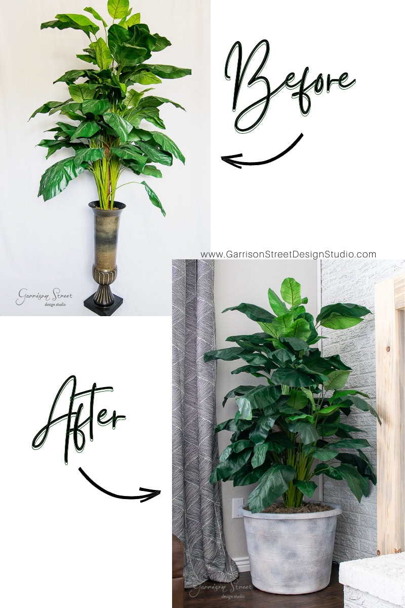 A side-by-side comparison of an indoor plant makeover. The "Before" image shows the plant in a tall, narrow vase, and the "After" reveals a DIY transformation into a large planter. The foliage appears more lush and full in the "After" photo.