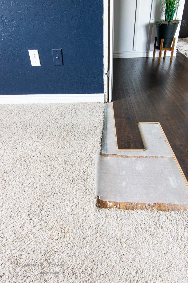 The interior view reveals a transition between beige carpet and dark wood flooring, perfectly capturing a modern boho aesthetic. The carpet is partially removed, showing underlayment. A blue wall with a white outlet and a potted plant add charm to what could be an inviting bunk room.