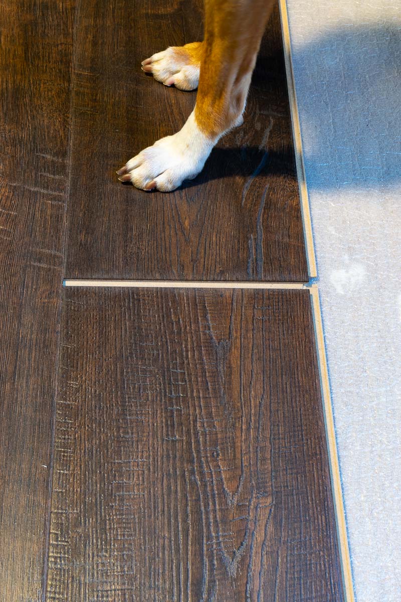 A dog's paws stand on two contrasting floorings: one side features rich, dark laminate wood planks, while the other showcases a light gray tile.