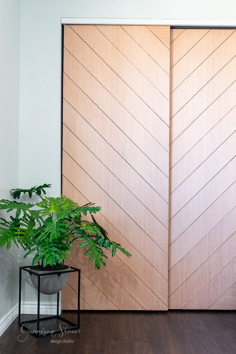 A closed wooden closet with a subtle herringbone pattern features a sliding door. A potted green plant sits in front on a black metal stand. The floor is dark wood, and the wall is painted light gray.