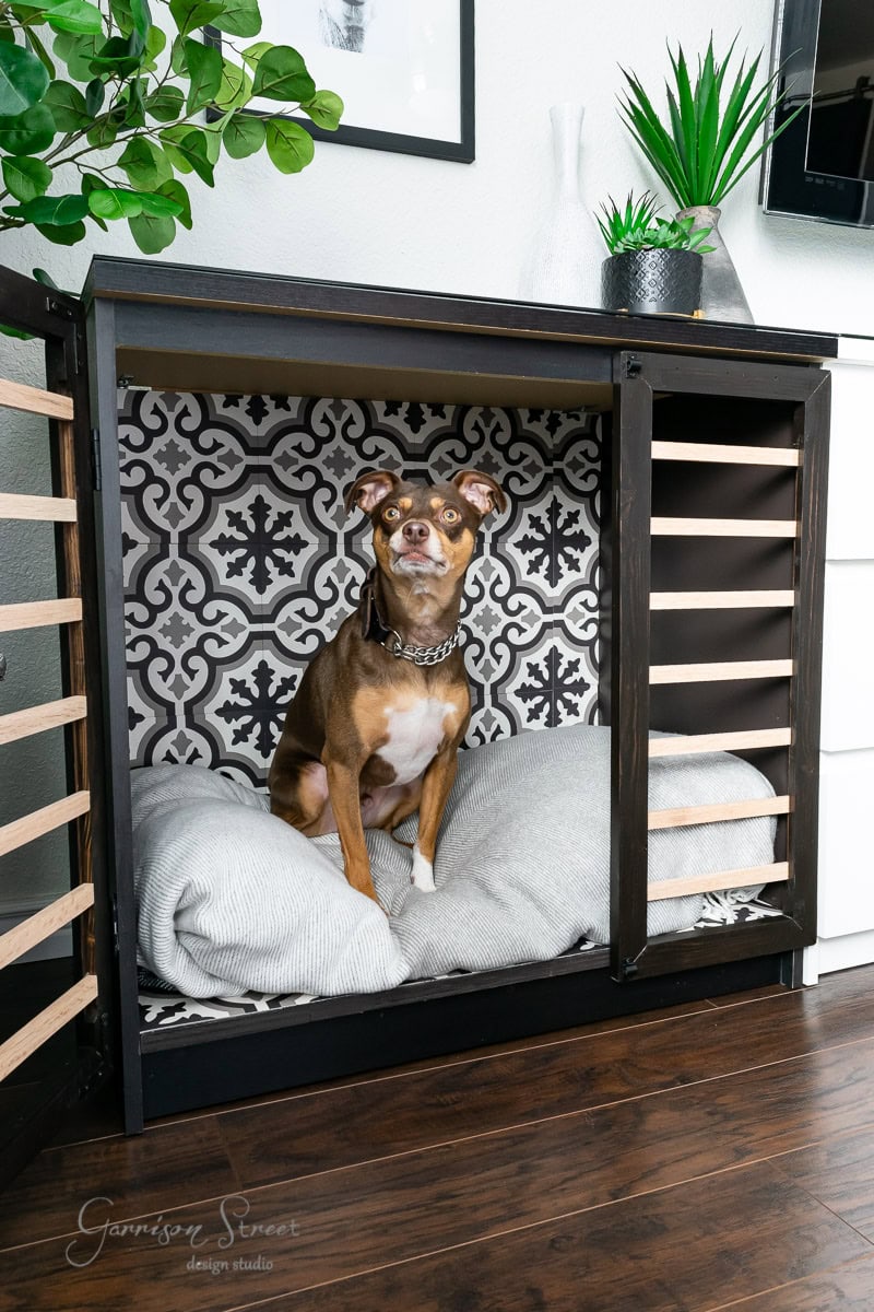 A small dog sits inside a stylish, black wooden cabinet reminiscent of an IKEA Malm piece. The open door reveals a chic black and white patterned wallpaper interior. Seated on a soft gray cushion, the dog seems at home in this trendy space with plants adorning the top like a modern dog crate.