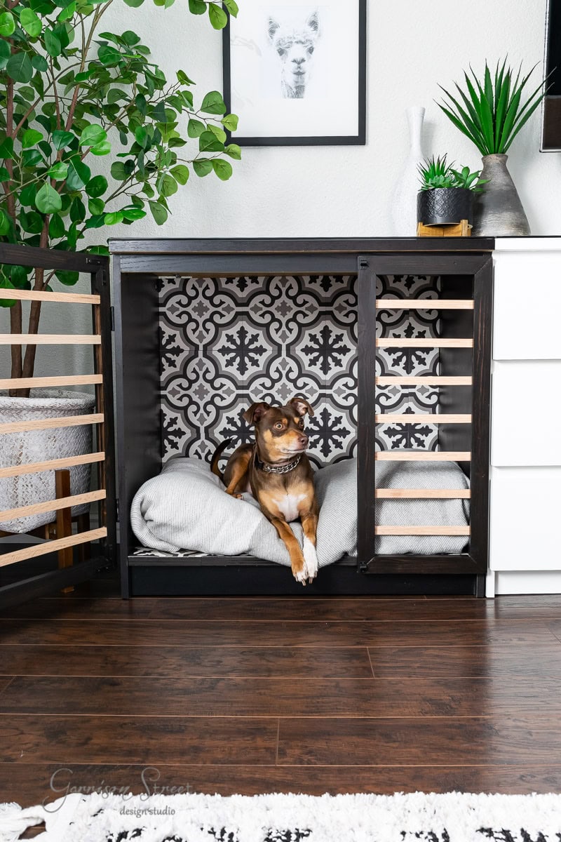 A dog relaxes inside a chic black dog crate with patterned backing on a gray blanket. Next to the IKEA Malm cabinet and a potted plant, a framed animal photo adorns the wall above, while dark wood flooring completes the stylish scene.
