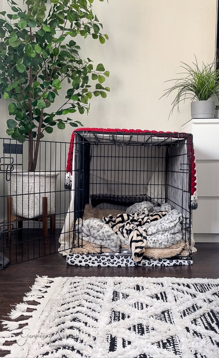 A cozy indoor scene features a dog crate with blankets and a red cover inside. Nearby are a potted plant, an IKEA Malm cabinet, and a decorative rug on the wooden floor, creating a warm and inviting atmosphere.