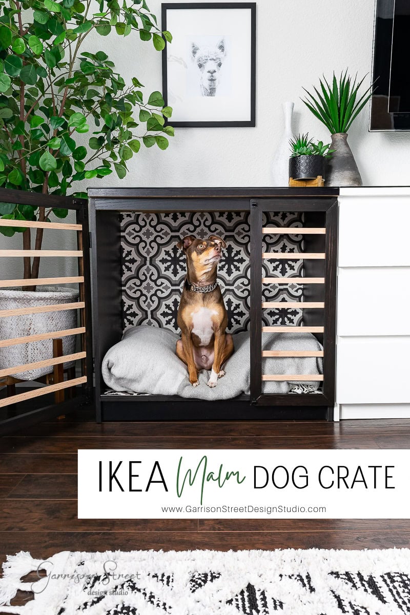A brown dog sits inside an IKEA Malm dog crate, styled with a patterned background and cushions. This chic black and white crate seamlessly blends into the home decor, surrounded by lush plants and framed artwork.
