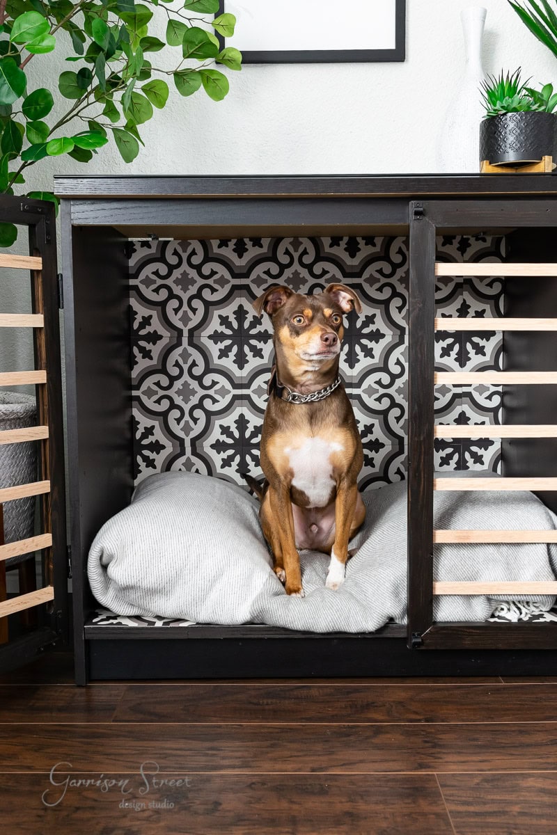 A brown dog sits comfortably inside an open wooden crate, lined with a soft gray blanket. The crate boasts an elegant black and white patterned back panel, reminiscent of affordable Ikea hacks, while a plant and a small potted succulent adorn the top for a stylish touch.