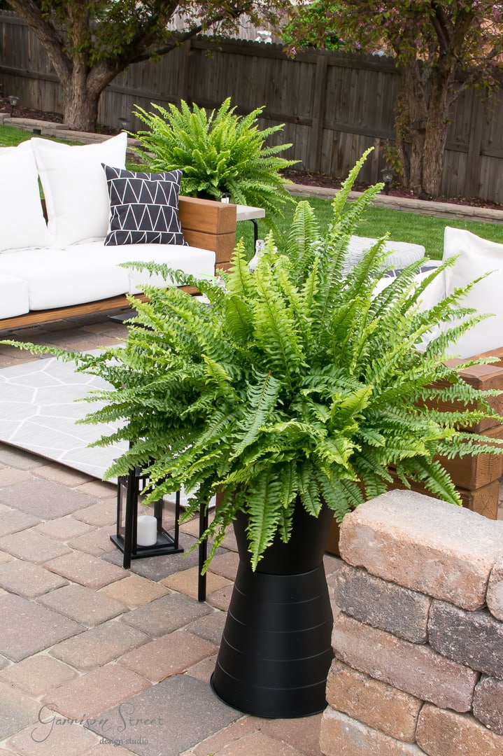 A lush fern in a tall black planter decorates a brick patio, offering a touch of elegance to the space. White outdoor sofas with geometric patterned pillows, likely from clever IKEA hacks, surround a chic rug and lantern. A wooden privacy fence and trees add an expensive feel to the background.