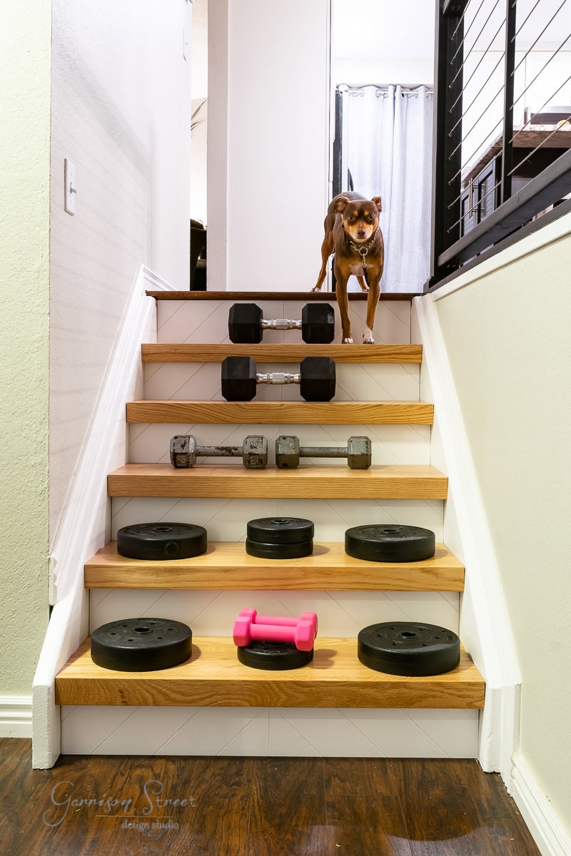 A dog stands at the top of a wooden staircase, cluttered with various weights including dumbbells, weight plates, and a bright pink hand weight.