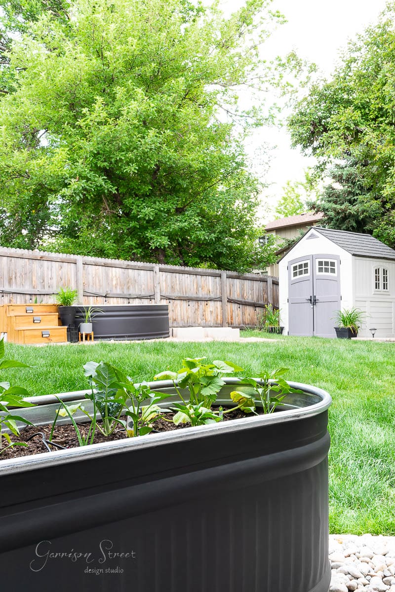 A backyard garden scene showcases a large stock tank planter brimming with vibrant plants in the foreground. A small gray shed and wooden steps add charm to the background, all framed by a sturdy wooden fence and lush green trees, creating a serene garden sanctuary.