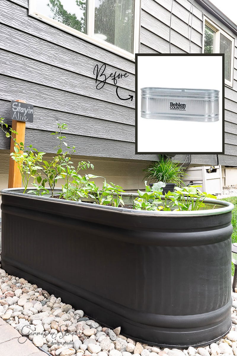 A garden bed with young plants surrounded by pebbles sits against a gray building. A wooden sign reads "Stayin Alive." An inset image shows a silver stock tank, serving as a Behrens water container. The text "Before" is handwritten with an arrow pointing to the garden bed.
