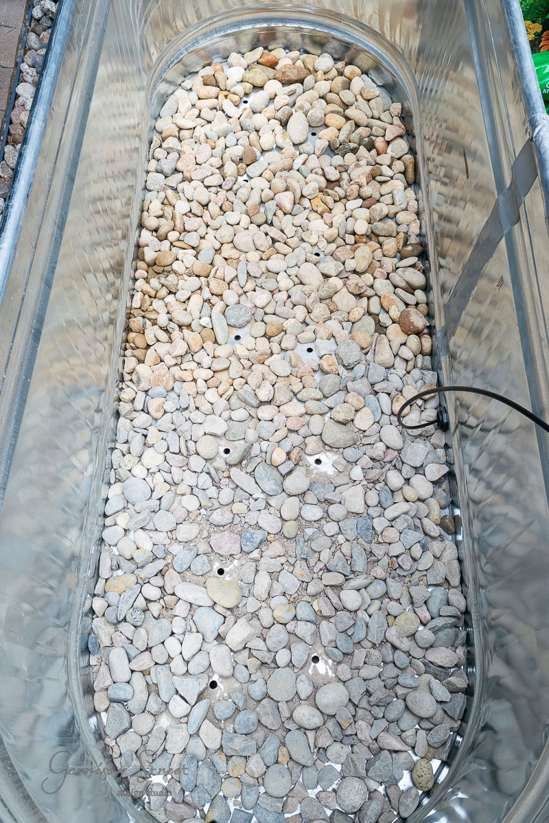 A stock tank filled with small, round stones in various shades of beige and grey sits in the garden. A black cord is seen on the right side, and the edges of the container reflect light.