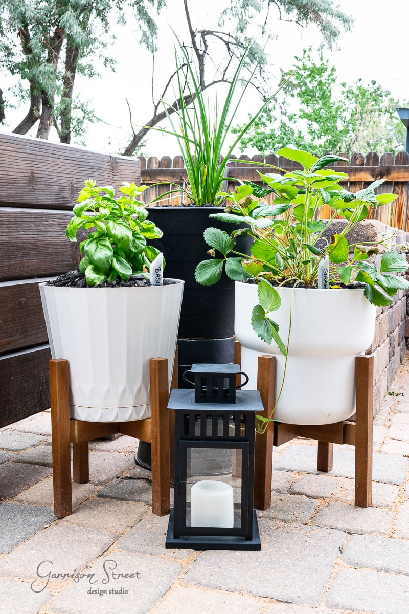 Three potted plants on a patio, including basil and strawberry marked with elegant garden markers, are displayed in wooden stands. A black lantern sits in front, while a wooden fence and trees provide the backdrop. The ground is covered in tan pavers.