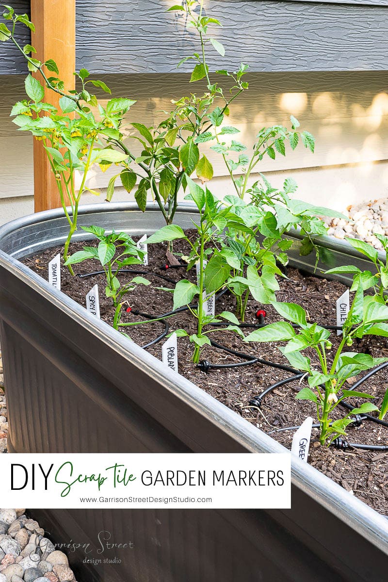A garden planter boasts various plants labeled with charming DIY garden markers. Each marker, crafted from tile scraps, displays handwritten labels identifying the plant types. Sunlight gently illuminates the lush foliage, enhancing the beauty of this well-organized display.