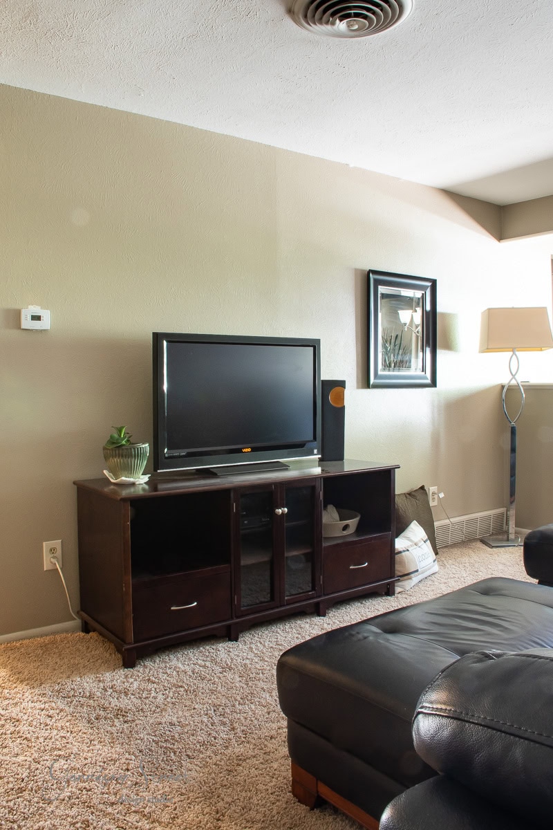 A living room with a TV on a dark wooden stand and a potted plant beside a sleek speaker. A framed artwork graces the light-colored wall, which features a DIY electric fireplace and TV wall. A floor lamp stands nearby, and a black leather sofa is partially visible in the foreground.