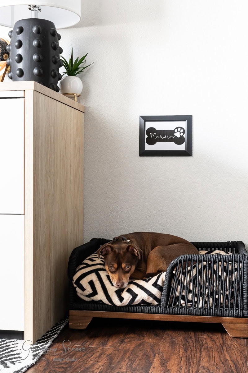 A brown and tan dog relaxes in a black wicker bed with a geometric cushion. Nestled next to a light wooden cabinet in a cozy diy home office for two, the wall showcases a framed paw print sign above the dog bed. A black lamp and plant adorn the cabinet, adding charm to the space.