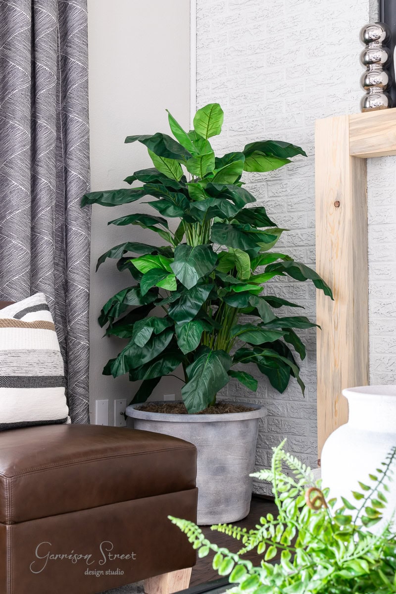 A potted plant with large green leaves is placed on a wooden floor near a brown leather chair. A textured white wall and gray patterned curtains are in the background, along with a decorative wooden frame and vase.