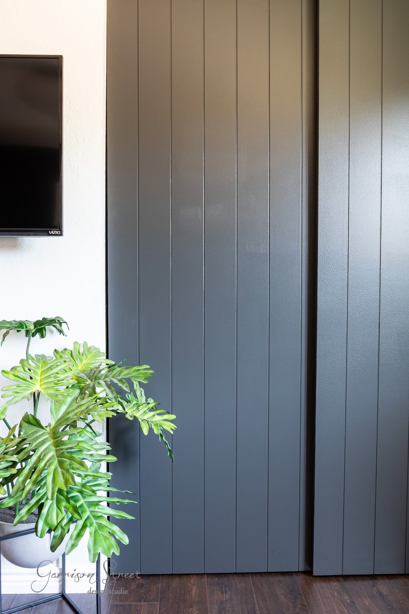 A modern interior features a stunning DIY closet door makeover alongside dark panel doors, a flat-screen TV mounted on the wall, and a large potted plant with broad, textured leaves on a wooden floor.