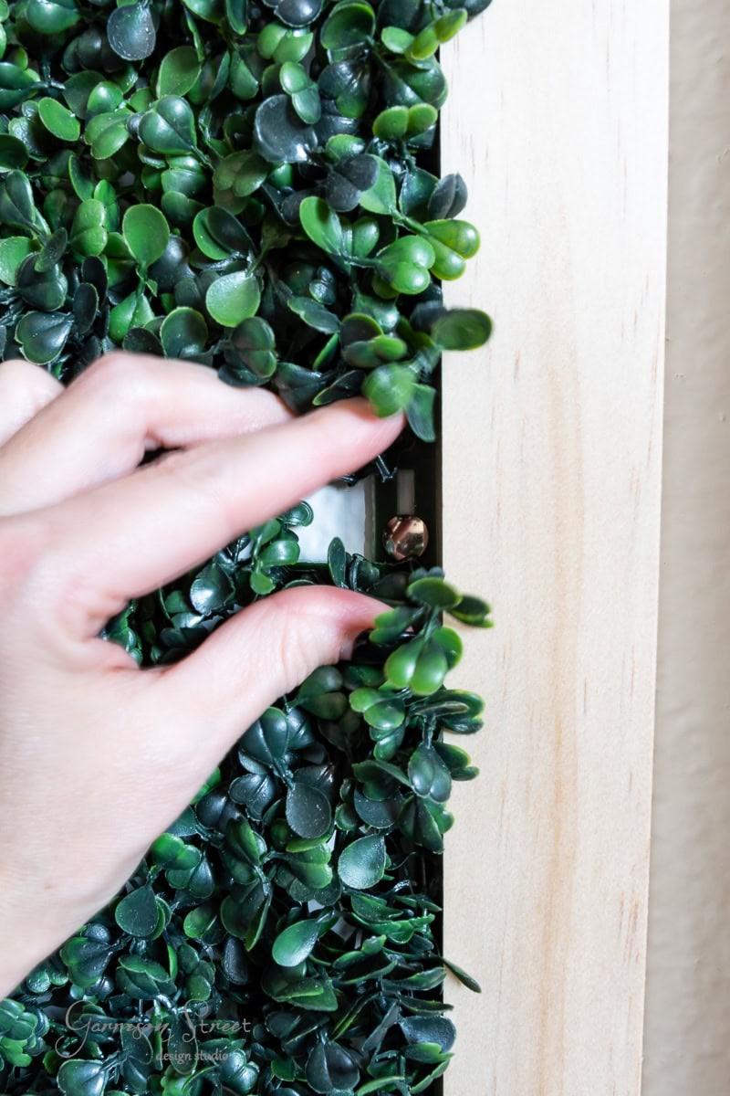 A hand is adjusting a green wall on a wooden frame, revealing a small brown object hidden behind the foliage.