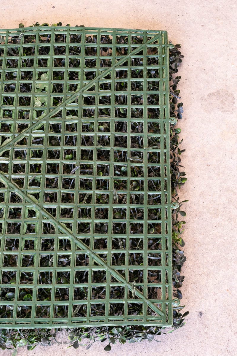 A green plastic grid covers a patch of small artificial plants against a beige concrete surface. The grid boasts a crisscross pattern with diagonal supports, and its edges reveal leafy plants beneath.