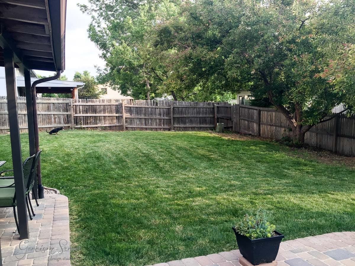 A lush backyard with a green lawn and wooden fence. There is a patio area with chairs on the left and a tree with dense foliage on the right. A small plant in a pot is on the patio. A black dog is going to the bathroom in the corner.