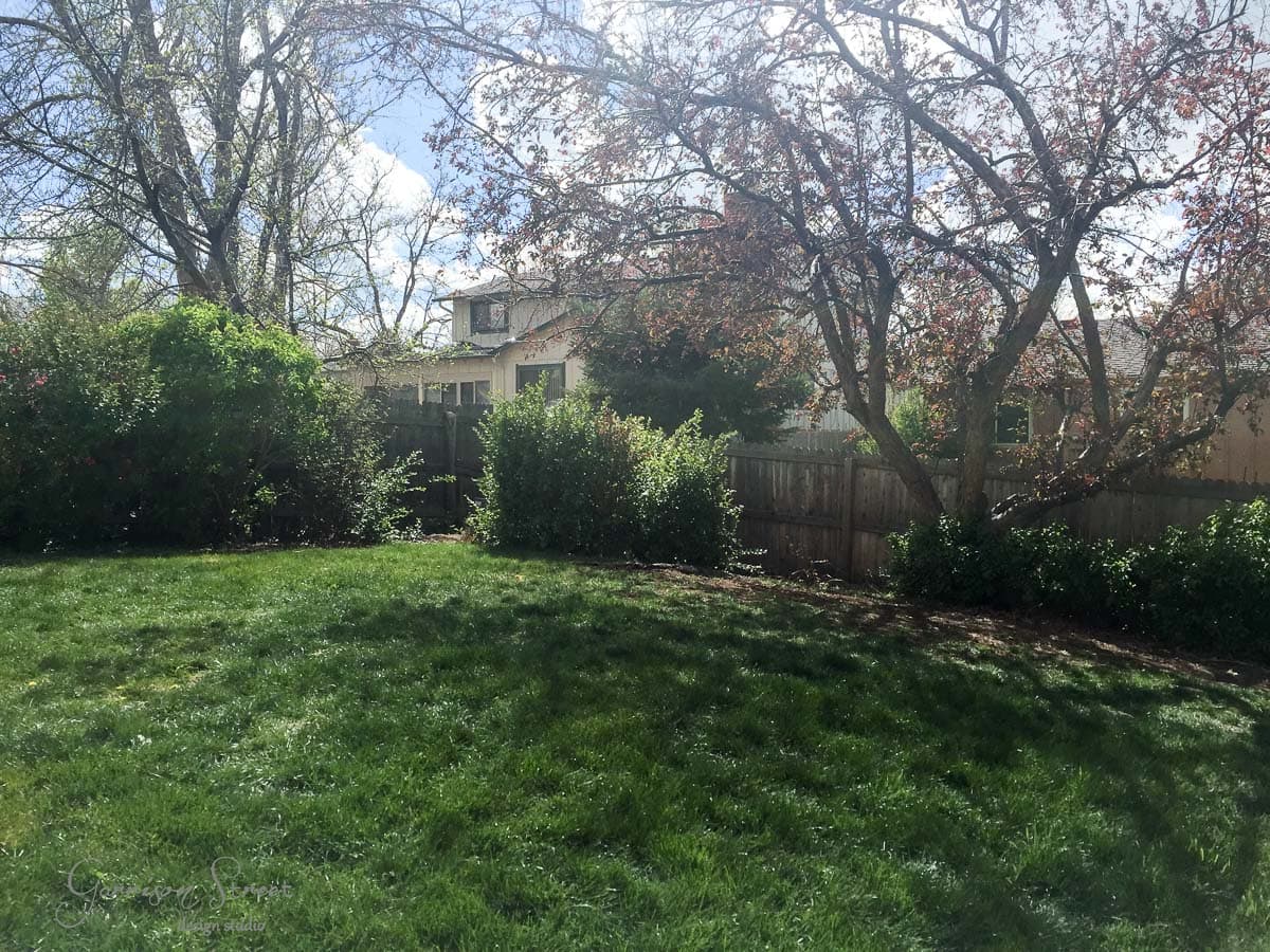 A sunny backyard with a wooden fence, lush green grass, and a variety of trees and shrubs. A house is partially visible in the background, framed by branches with budding leaves.