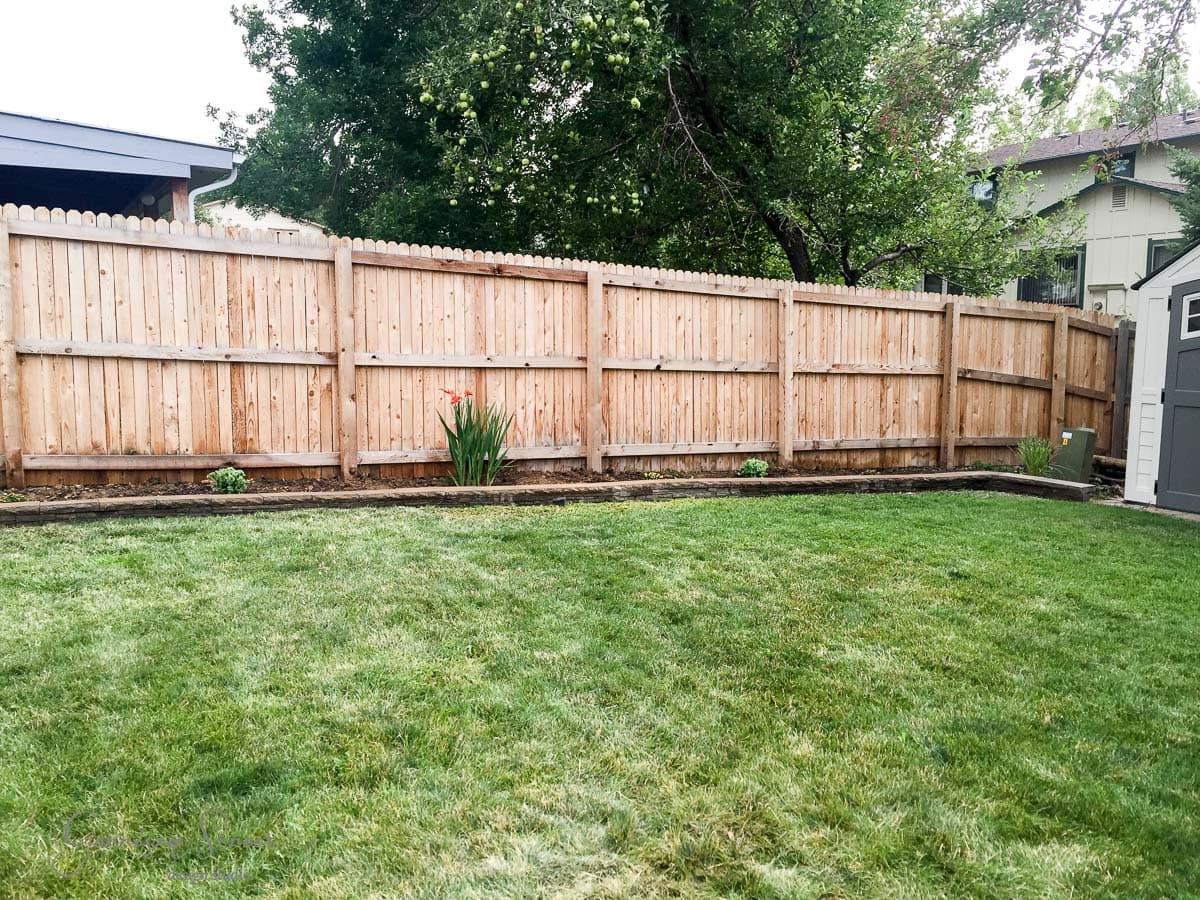 A backyard with a wooden fence, green grass, and a small garden along the fence with some plants. Trees and part of a house are visible in the background.