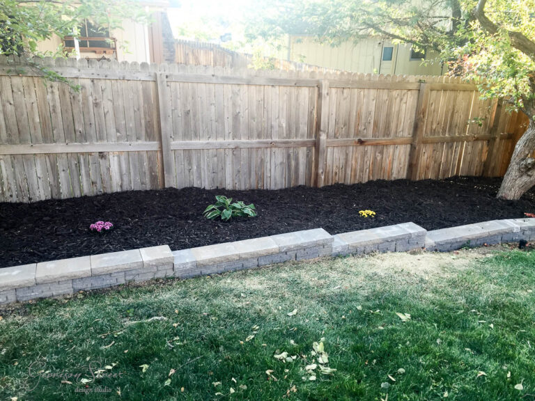A garden with a wooden fence in the background, featuring a mulched flower bed. Three small plants are visible, spaced apart. A row of gray bricks separates the garden bed from a grassy lawn. Trees partially shade the area.