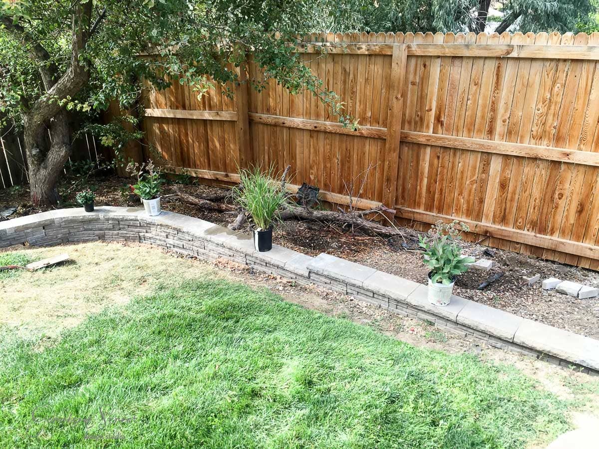 A backyard with a wooden fence and a small tree. The ground has a mix of grass and soil. There are potted plants placed intermittently along a low stone garden border under the tree.