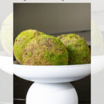 A white pedestal bowl holds two decorative moss-covered spheres, creating a simple centerpiece. Text above reads: "DIY Dollar Tree Decorative Pedestal Bowl Centerpiece, garrison street design studio.