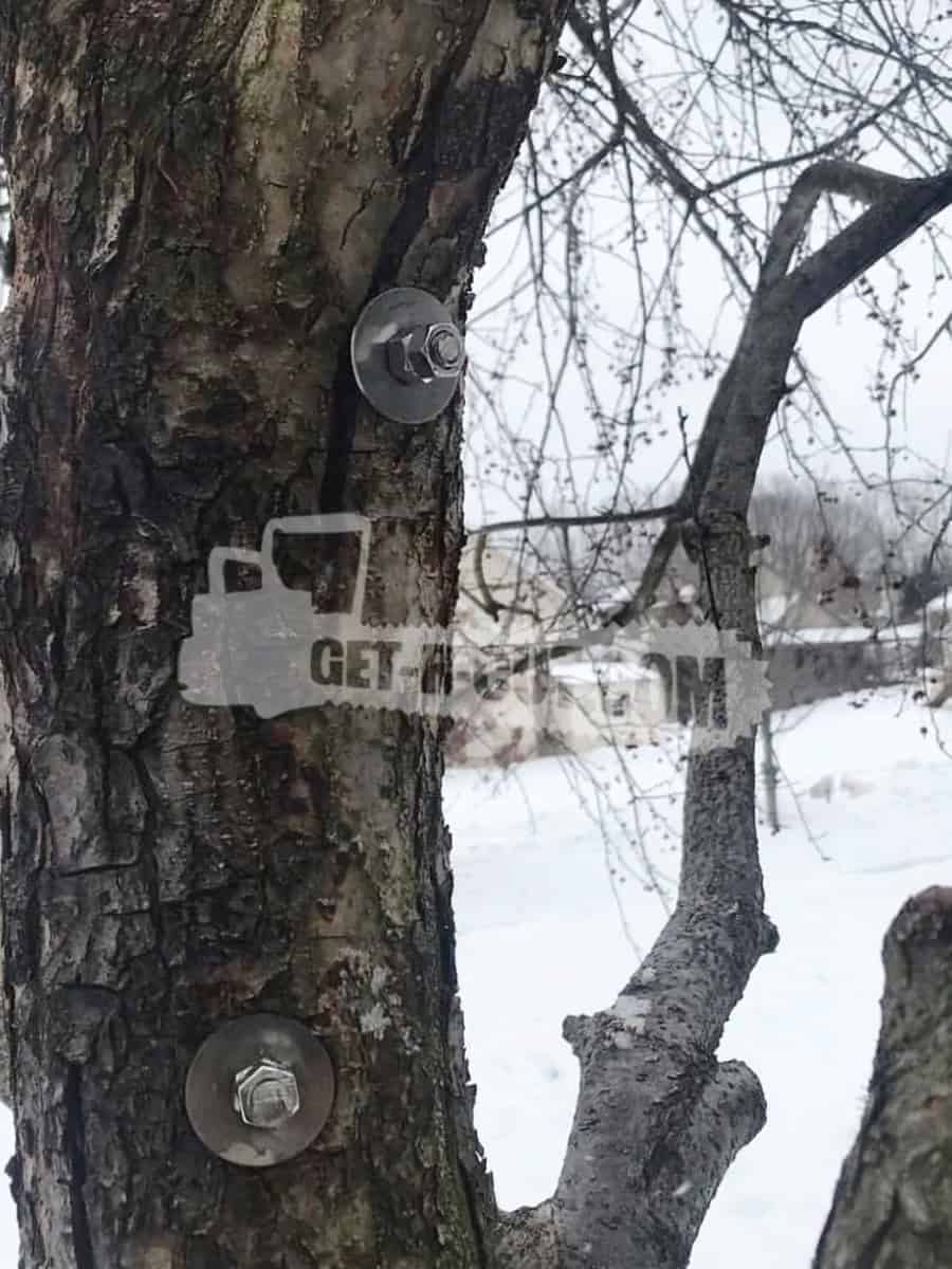 Tree with sensors and sign for Get-R-Cut.com in winter landscape.
