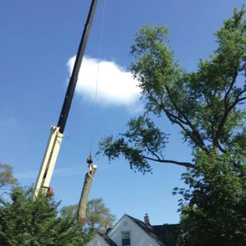 crane service img