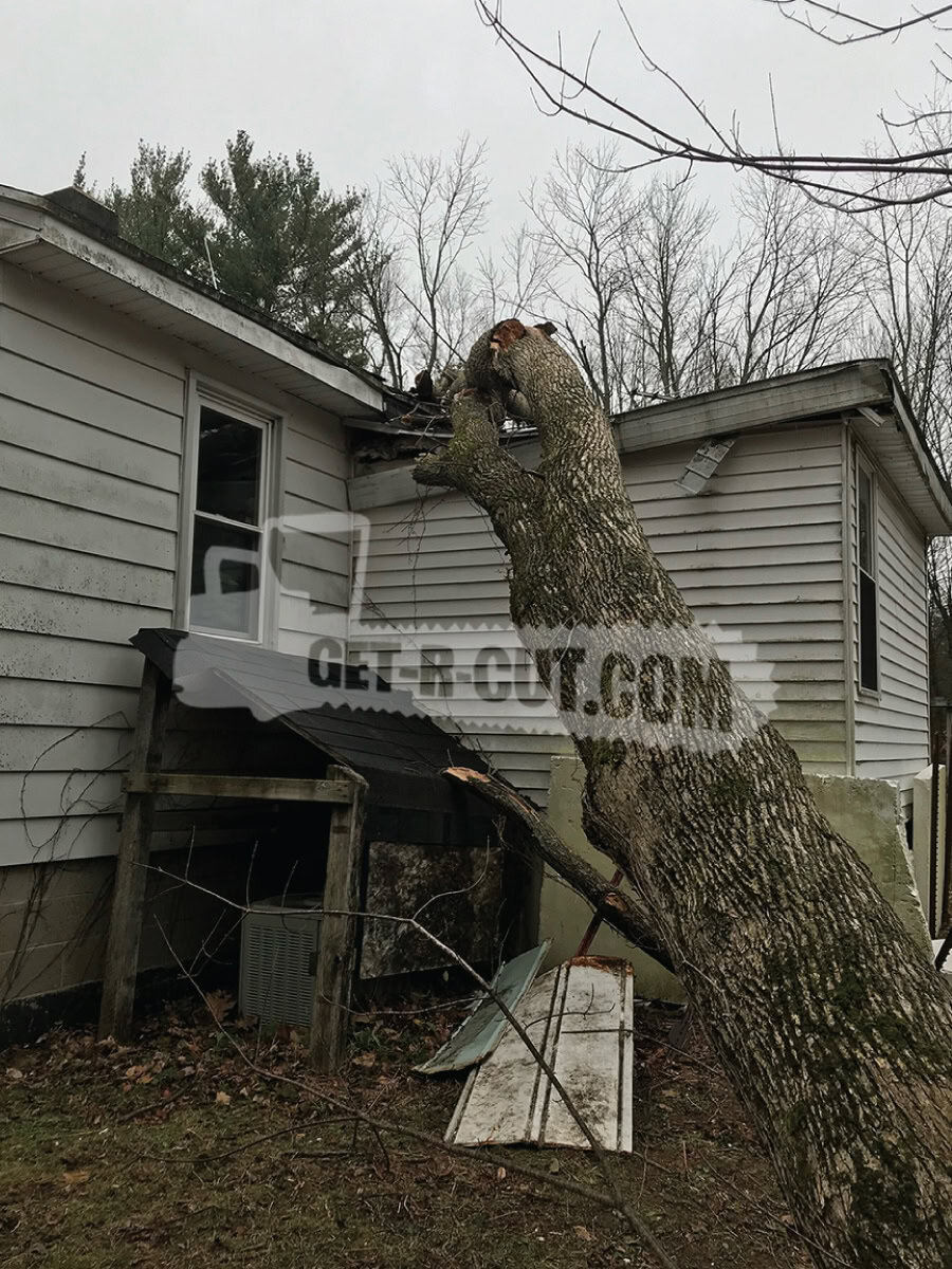 Large tree fallen onto house roof causing damage and structural concern.
