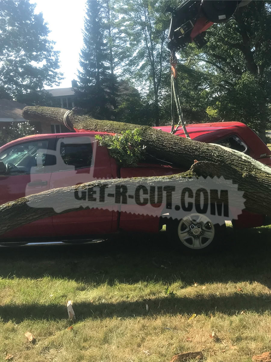 Tree removal service vehicle with a large log on top in a residential area.