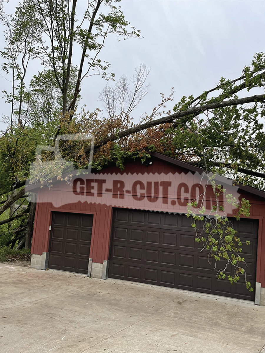 Fallen tree on garage roof after storm, tree removal service in action.