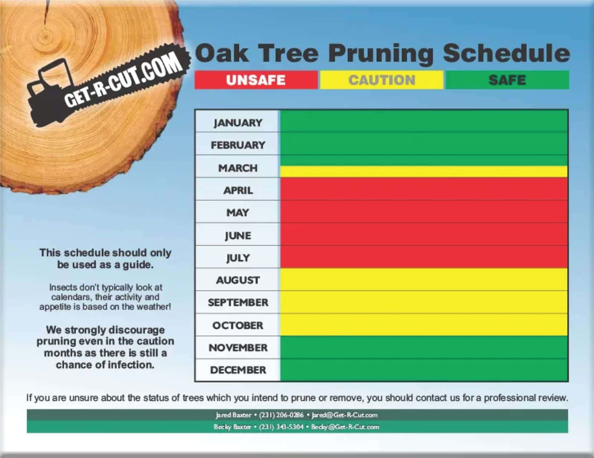 oak tree pruning schedule