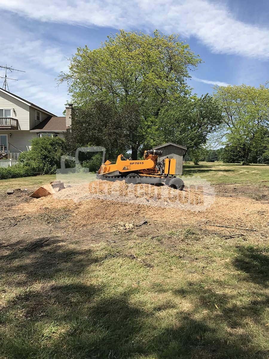 stump grinding 1