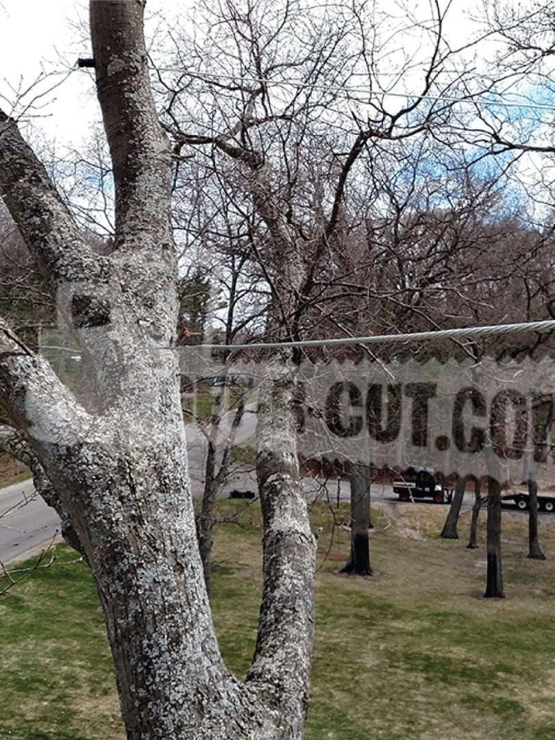 Tree with leafless branches and Get-R-Cut.com banner in park.