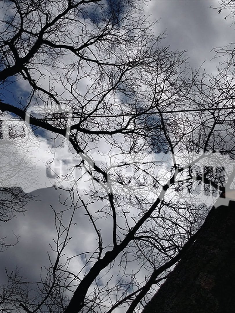 Bare tree branches silhouetted against a cloudy sky in winter.