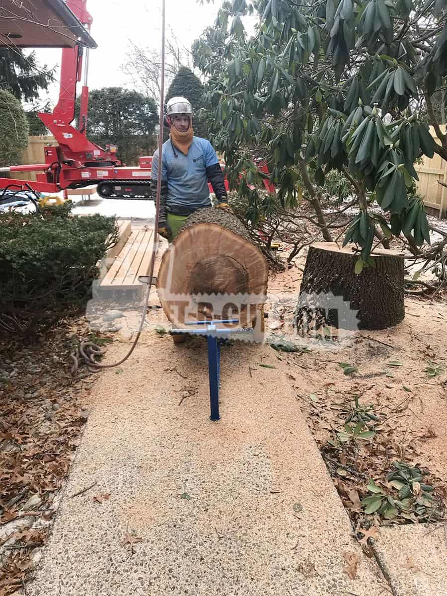 Worker with chainsaw cutting a large tree trunk in a garden.