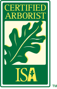 ICA 400