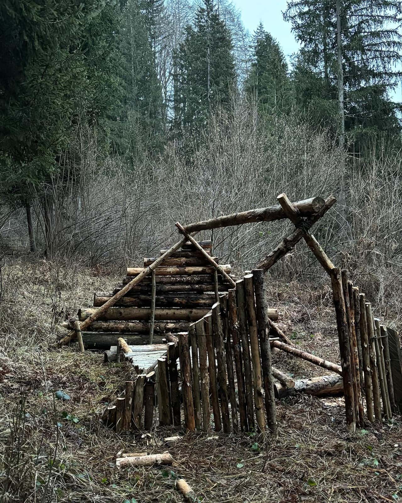 Shelter-Bau-Wald-Survival-Skills-Rabaukencamp