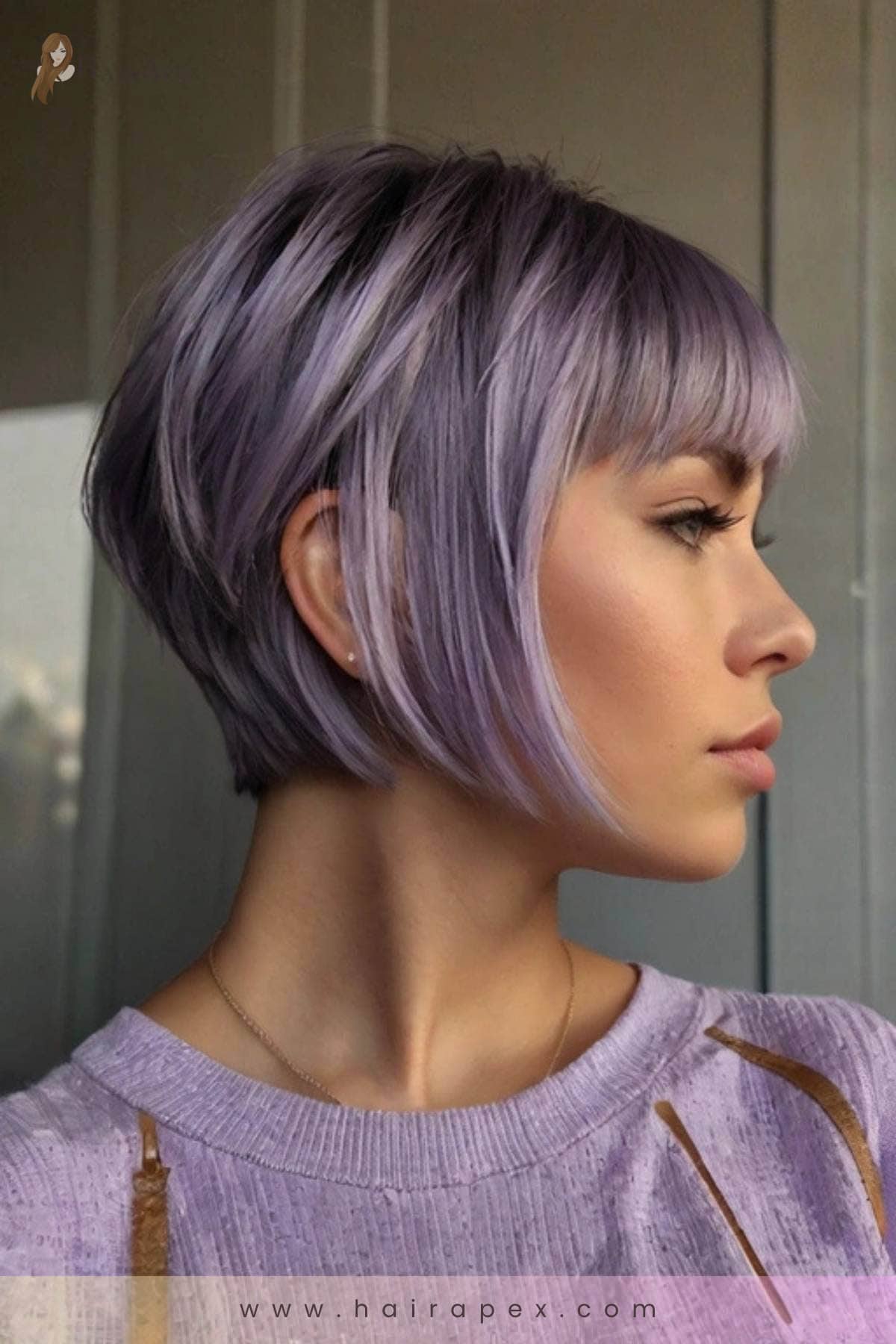 20 Lavender Pixie Bob