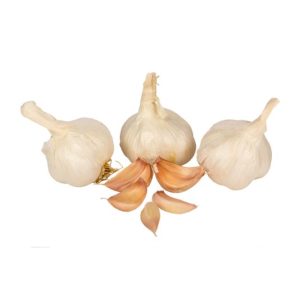 Fresh organic garlic heads with cloves on a white background.