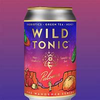 Wild Tonic Paloma Kombucha can with grapefruit and herbs design.