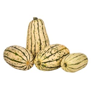 Fresh organic delicata squash with green stripes on yellow skin.