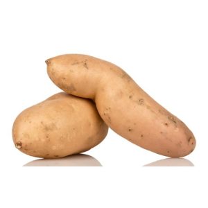 Fresh organic white sweet potatoes on a white background.