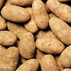 Fresh Azure Russet potatoes from Healthy Roots for cooking and baking.
