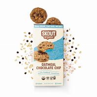 Healthy Roots Skout Oatmeal Chocolate Chip Cookie with oats and chocolate chips.